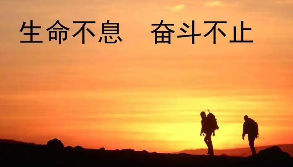 招募站长亢陶好项目网-专注分享网络创业项目落地实操课程 – 全网首发_高质量创业项目输出亢陶好项目网