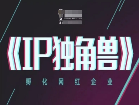IP独角兽，孵化网红企业，ip教程亢陶好项目网-专注分享网络创业项目落地实操课程 – 全网首发_高质量创业项目输出亢陶好项目网
