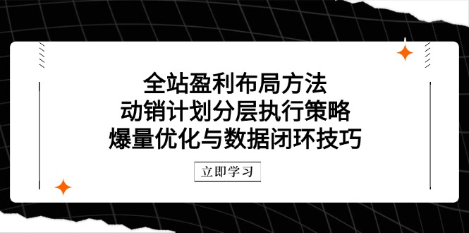 全站盈利布局方法：动销计划分层执行策略，爆量优化与数据闭环技巧亢陶好项目网-专注分享网络创业项目落地实操课程 – 全网首发_高质量创业项目输出亢陶好项目网